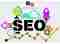seo business webstars web bureau in amsterdam